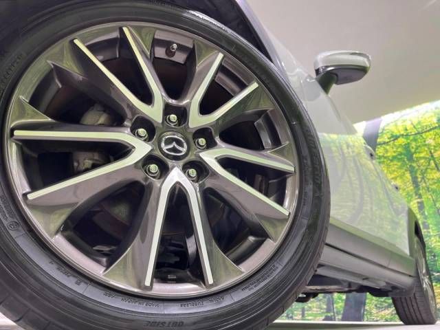 Mazda CX-3 2015-04 13676-13