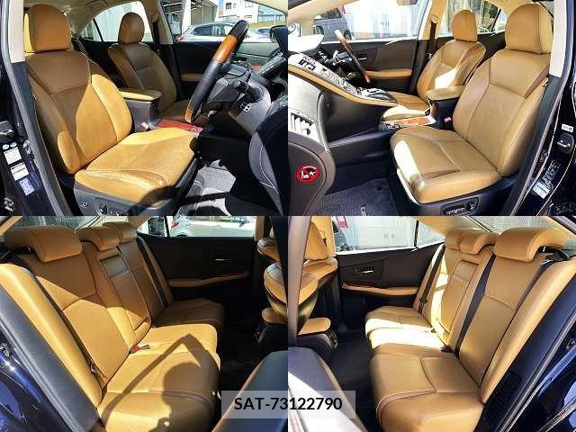 Lexus HS 2010-06 275352-8