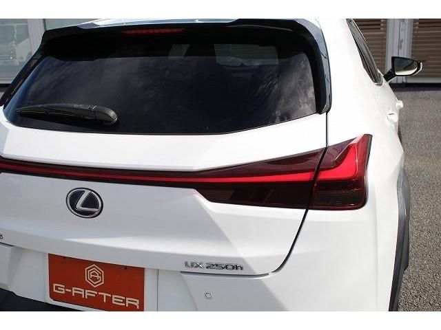 Lexus UX 2019-02 23208-13