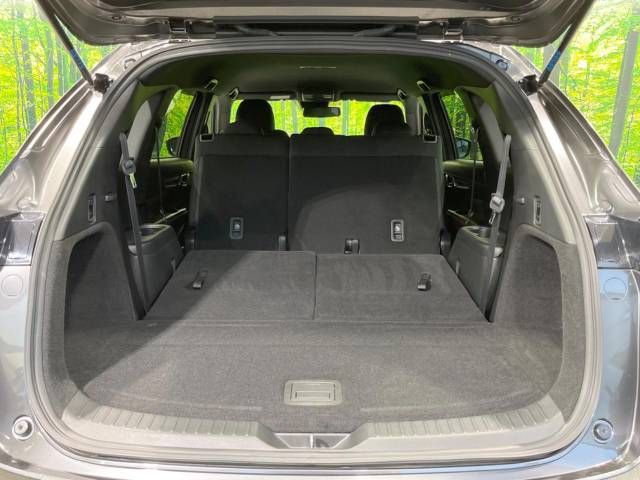 Mazda CX-8 2017-11 27926-11