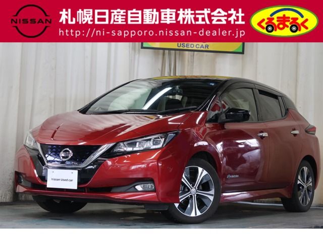 Nissan LEAF 2018-05 4236-0