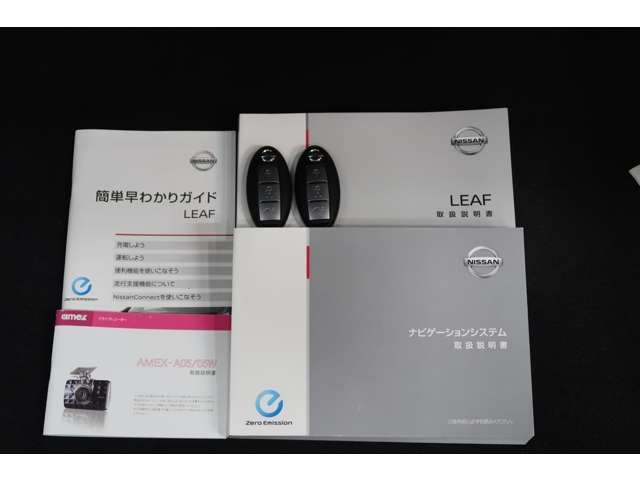 Nissan LEAF 2018-05 4236-16