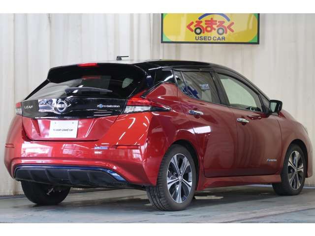 Nissan LEAF 2018-05 4236-1