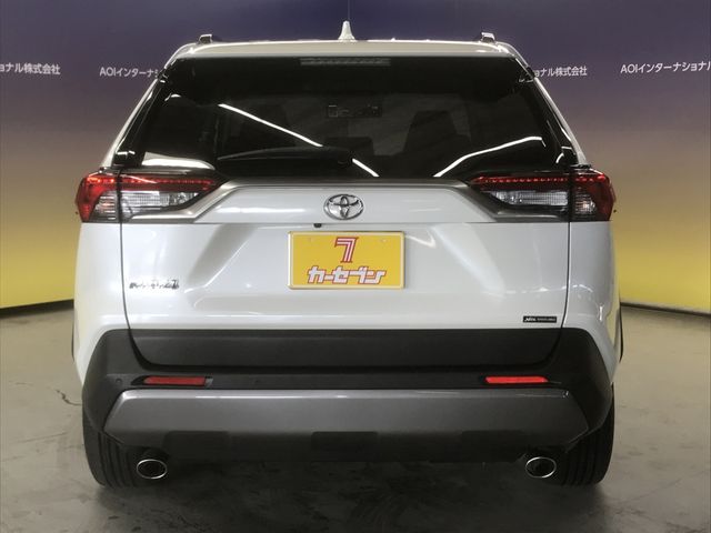 Toyota RAV4 2020-05 188301-13