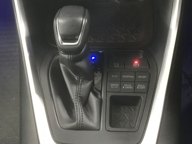 Toyota RAV4 2020-05 188301-22