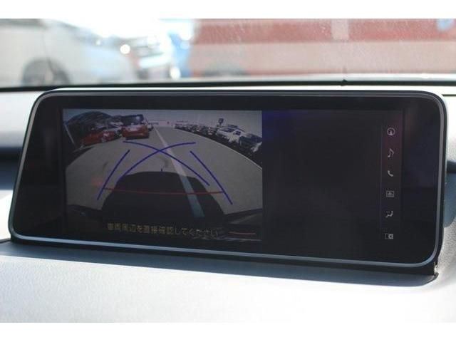 Lexus RX 2016-07 8346-2