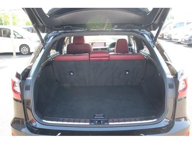 Lexus RX 2016-07 8346-17