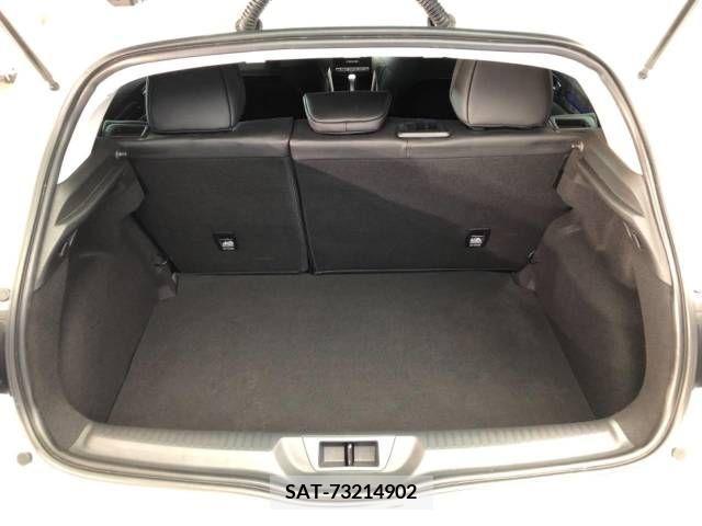 Renault MEGANE 2019-06 393644-12