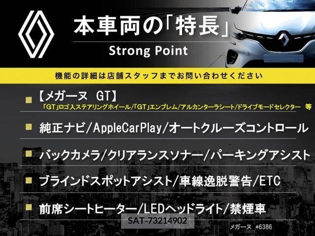 Renault MEGANE 2019-06 393644-2