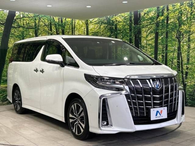 Toyota ALPHARD 2022-10 194138-17