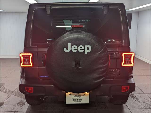 Jeep WRANGLER 2022-06 21871-4