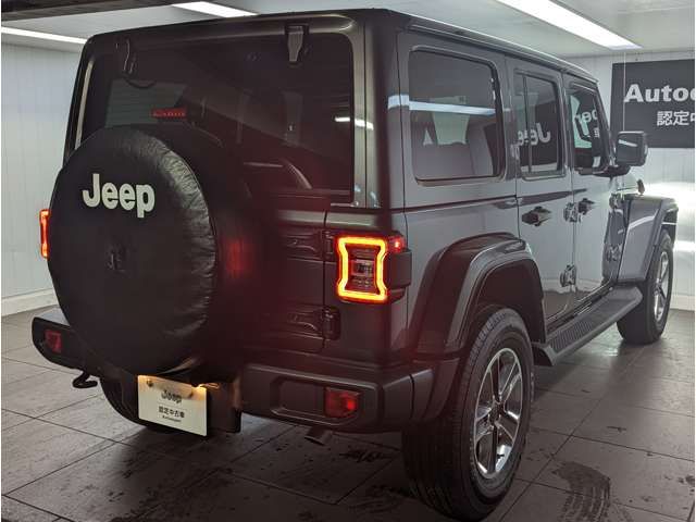 Jeep WRANGLER 2022-06 21871-7