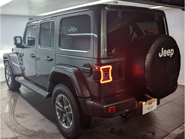Jeep WRANGLER 2022-06 21871-5