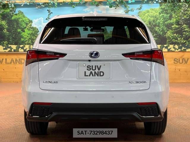 Lexus NX 2021-09 300558-17