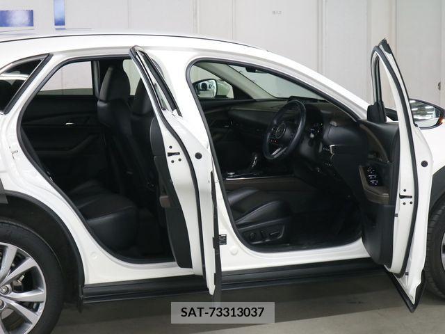 Mazda CX-30 2020-02 221900-10