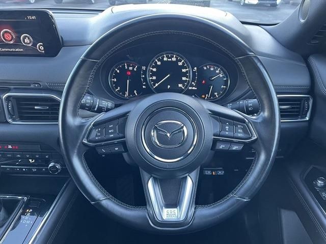 Mazda CX-8 2019-06 186792-26