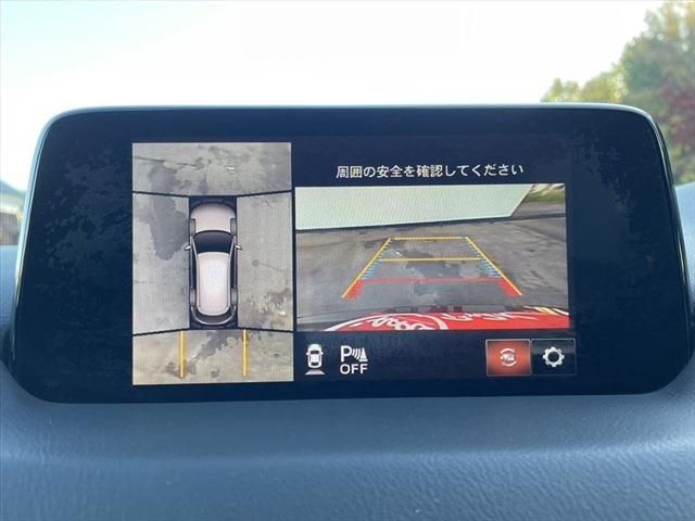 Mazda CX-8 2019-06 186792-29