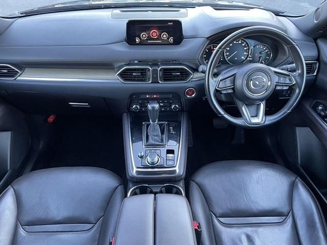 Mazda CX-8 2019-06 186792-18