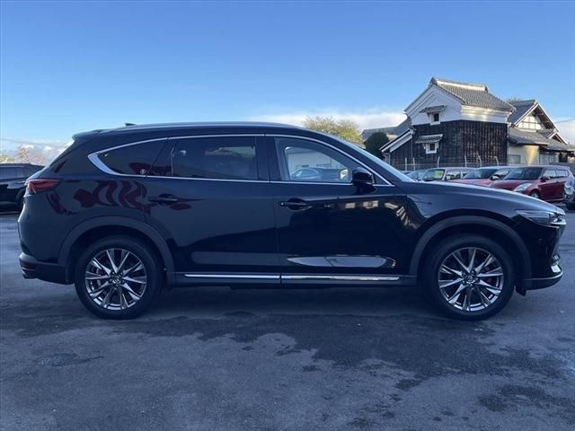Mazda CX-8 2019-06 186792-3