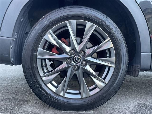 Mazda CX-8 2019-06 186792-15