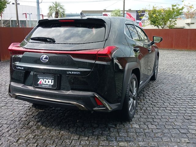 Lexus UX 2021-01 9728-6