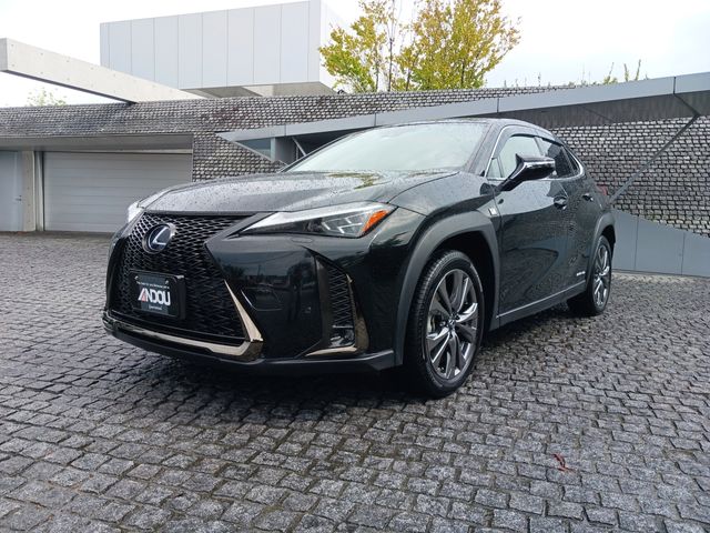 Lexus UX 2021-01 9728-0