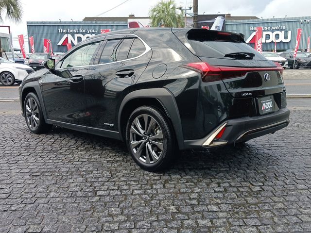Lexus UX 2021-01 9728-3
