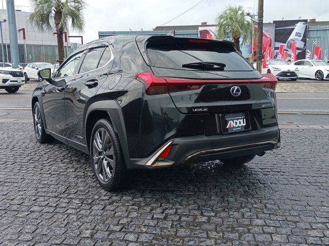 Lexus UX 2021-01 9728-2