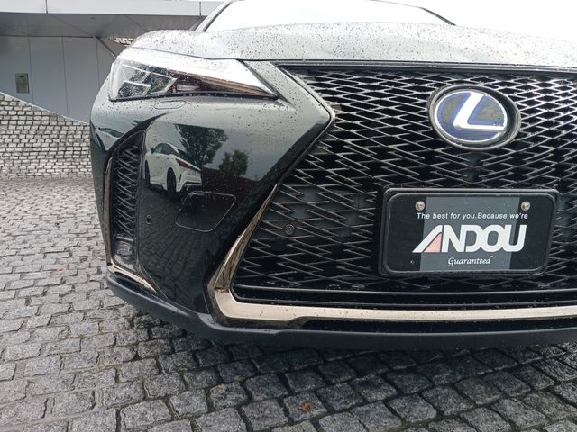 Lexus UX 2021-01 9728-5