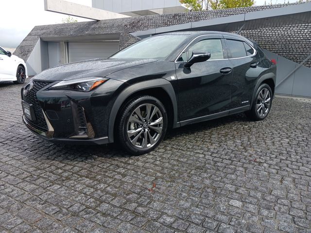 Lexus UX 2021-01 9728-1