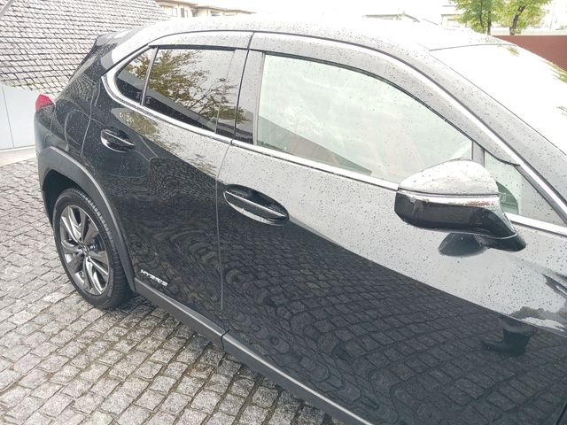 Lexus UX 2021-01 9728-4