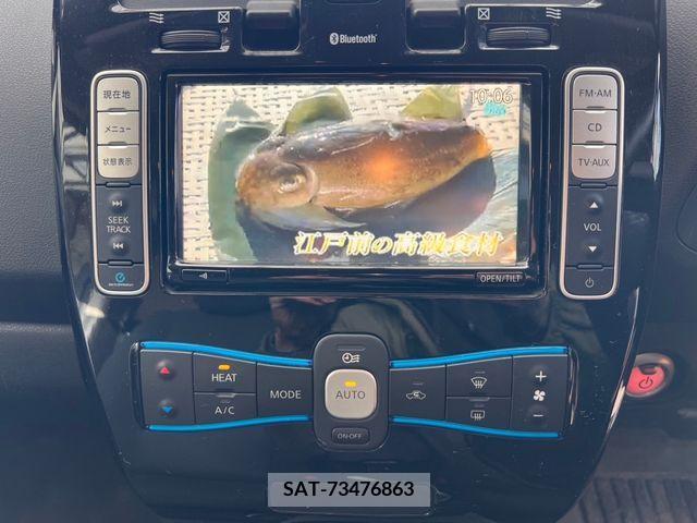 Nissan LEAF 2012-11 254305-7