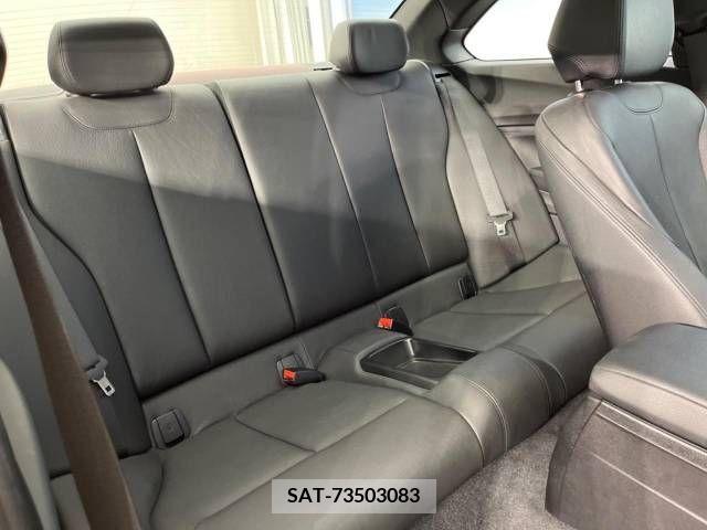 Bmw 2 SERIES 2014-02 261946-12