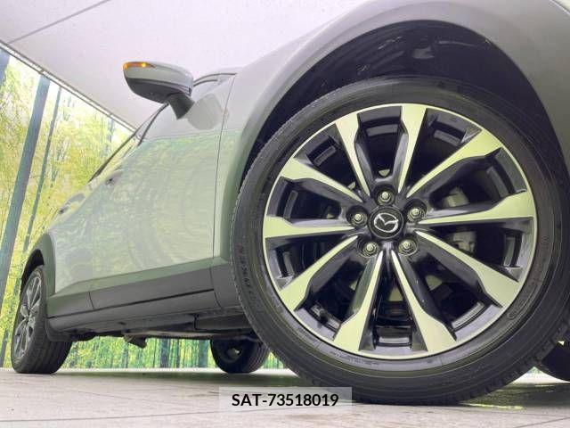 Mazda CX-3 2019-06 265503-13