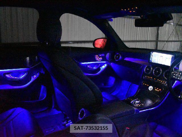 Amg C-CLASS 2019-04 291529-19