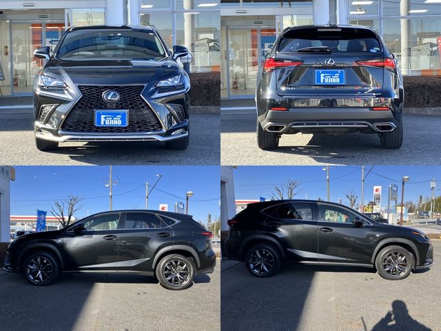 Lexus NX 2018-02 687-14