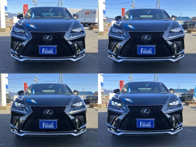 Lexus NX 2018-02 687-16