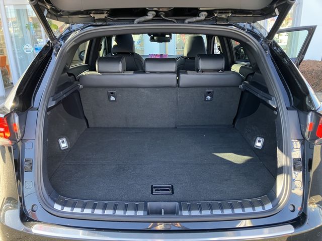 Lexus NX 2018-02 687-24