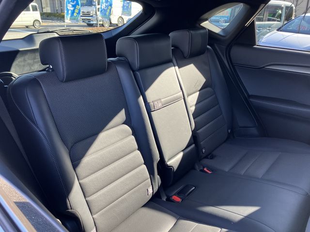 Lexus NX 2018-02 687-12