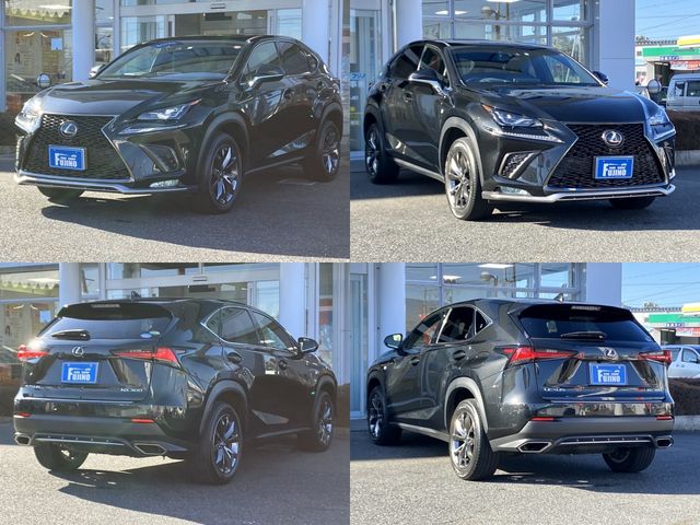Lexus NX 2018-02 687-15