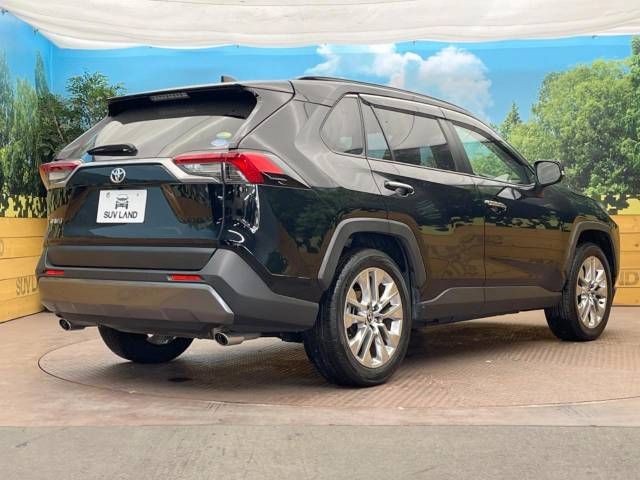 Toyota RAV4 2019-06 23498-16