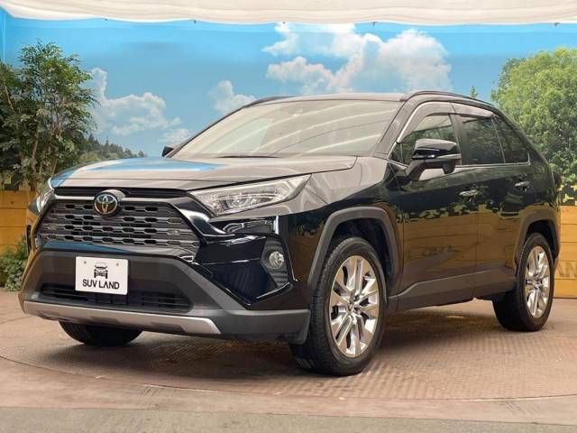 Toyota RAV4 2019-06 23498-19