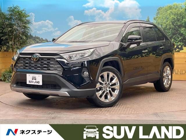 Toyota RAV4 2019-06 23498-0