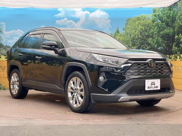 Toyota RAV4 2019-06 23498-15