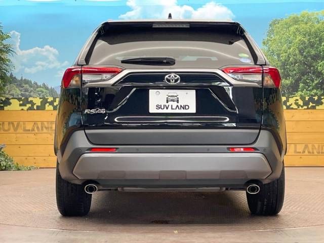 Toyota RAV4 2019-06 23498-14