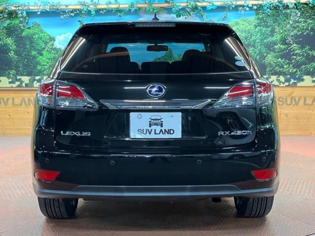 Lexus RX 2013-01 10916-17