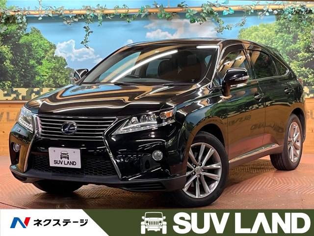 Lexus RX 2013-01 10916-0