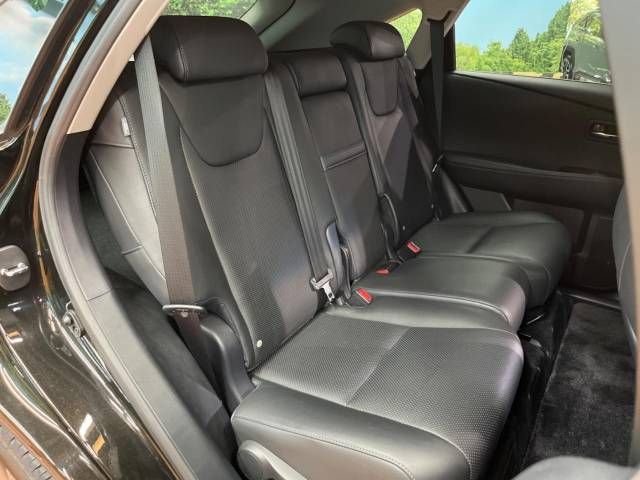 Lexus RX 2013-01 10916-12