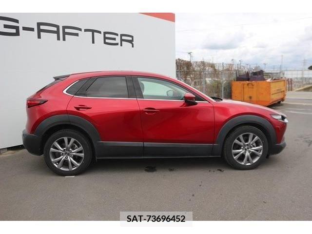 Mazda CX-30 2019-10 235975-2
