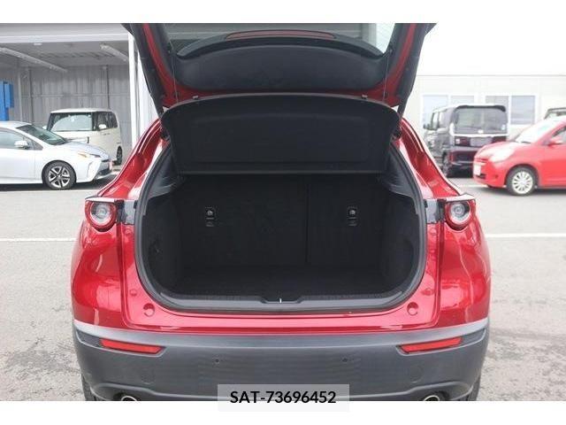 Mazda CX-30 2019-10 235975-9